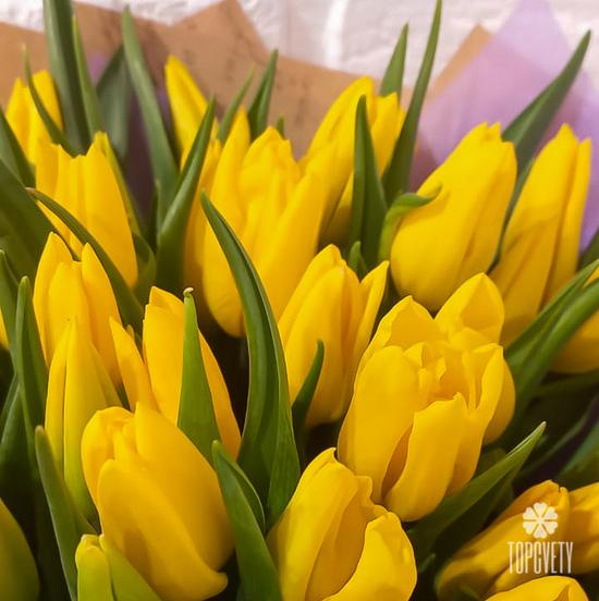 Букет из 51 желтого тюльпана