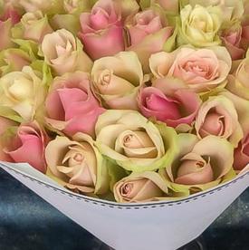 Букет из 51 розовой розы микс 40см