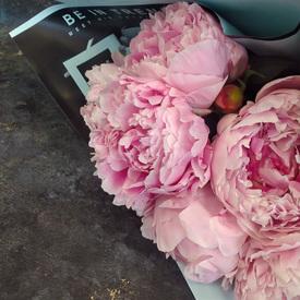 Букет из 7 розовых пионов