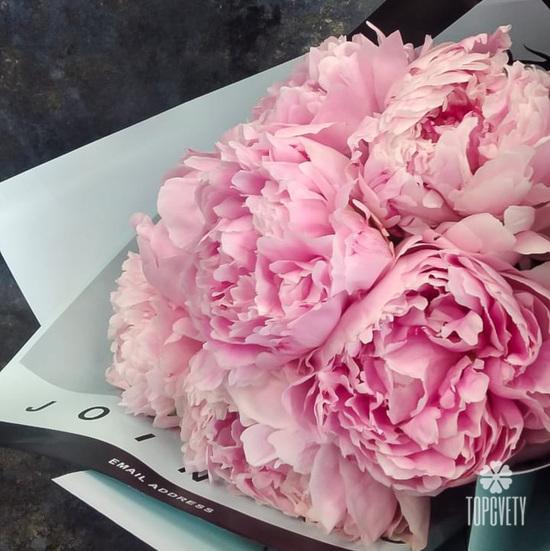 Букет из 7 розовых пионов