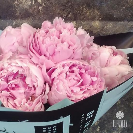 Букет из 7 розовых пионов