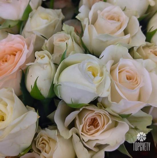 Букет из 17 кремовых кустовых роз 50см