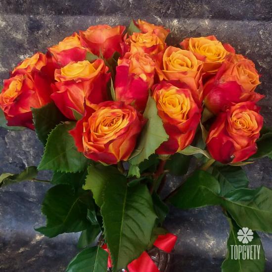 Букет из 15 оранжево-красных сортовых роз 50см