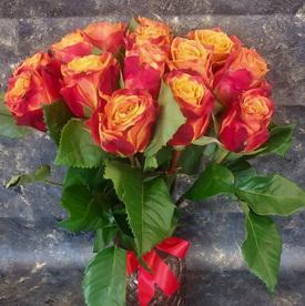 Букет из 15 оранжево-красных сортовых роз 50см