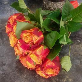 Букет из 15 оранжево-красных сортовых роз 50см