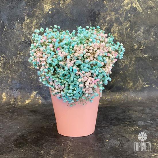 Композиция из гипсофилы в коробке