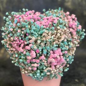 Композиция из гипсофилы в коробке