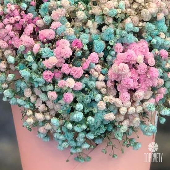 Композиция из гипсофилы в коробке