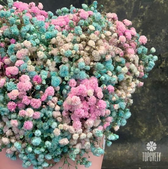 Композиция из гипсофилы в коробке