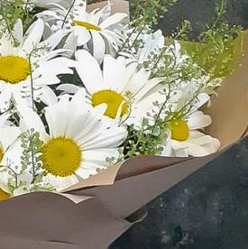 Букет из 25 ромашек