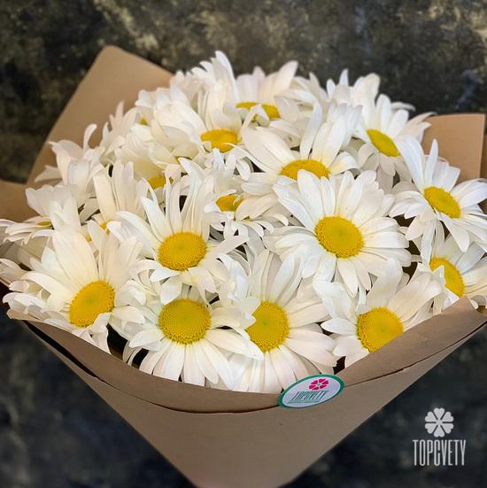 Букет из 19 ромашек