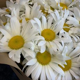 Букет из 19 ромашек