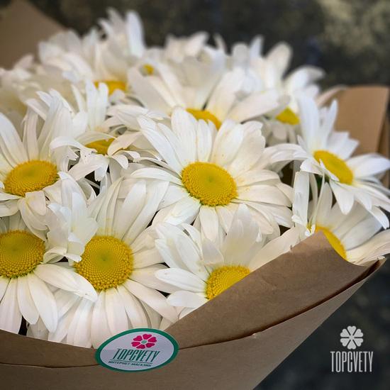 Букет из 19 ромашек
