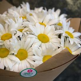 Букет из 19 ромашек