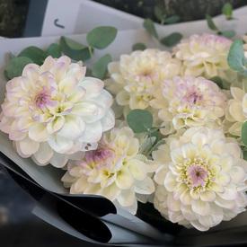 Букет из 9 белых георгин