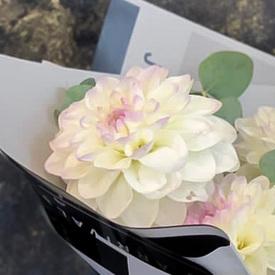 Букет из 9 белых георгин