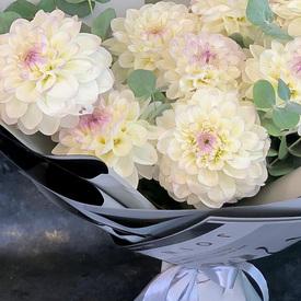 Букет из 9 белых георгин