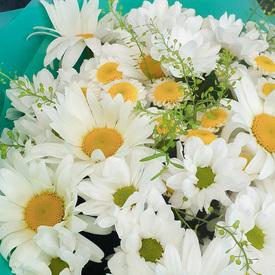 Букет из ромашек и хризантем