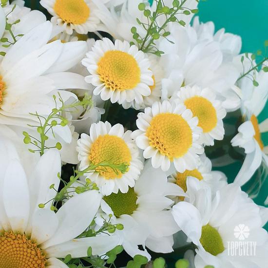 Букет из ромашек и хризантем