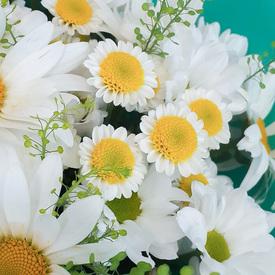 Букет из ромашек и хризантем