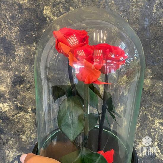 Розы стабилизированные №361