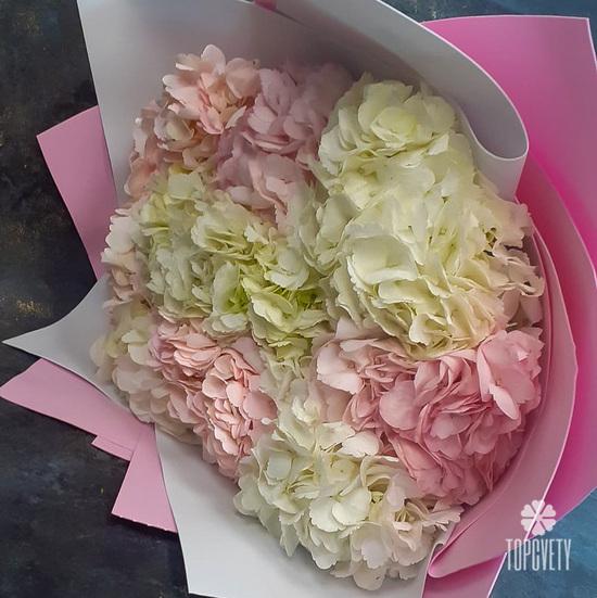 Букет из 7 гортензий микс