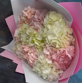 Букет из 7 гортензий микс