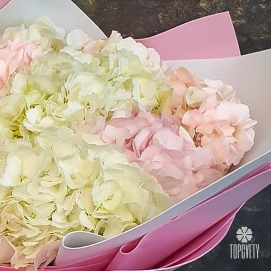 Букет из 7 гортензий микс