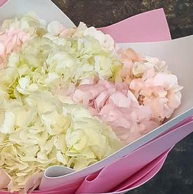 Букет из 7 гортензий микс