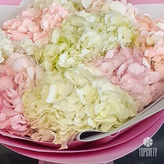 Букет из 7 гортензий микс