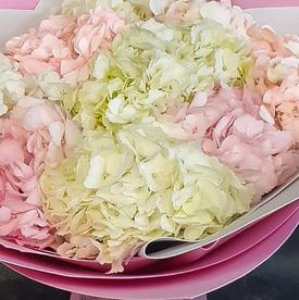 Букет из 7 гортензий микс