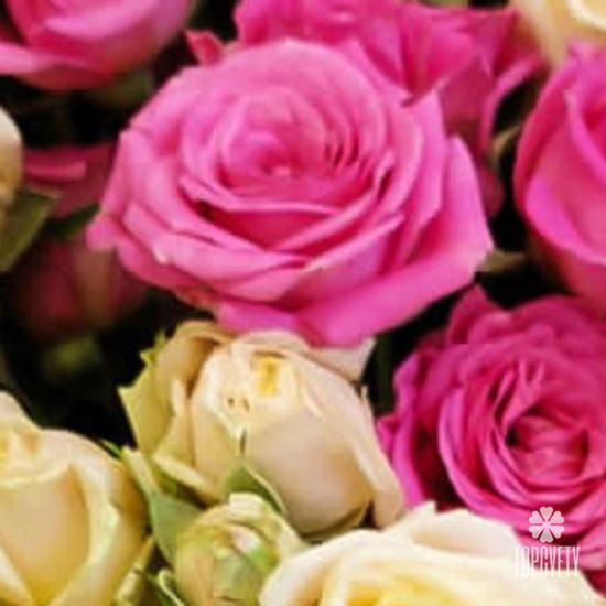 Букет из 19 кустовых роз микс  50см