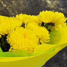 Букет из 9 желтых хризантем