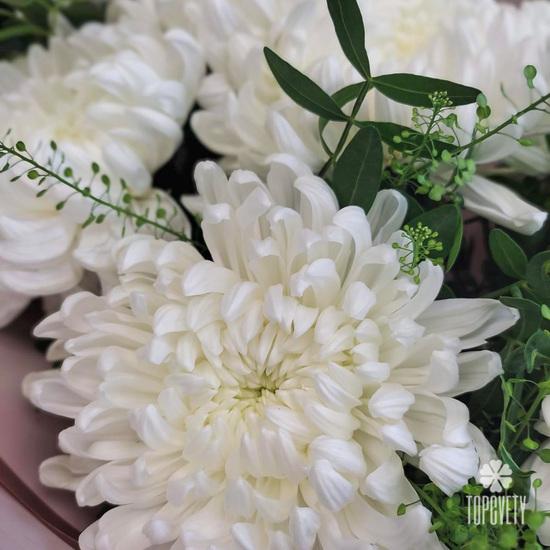 Букет из 9 белых хризантем