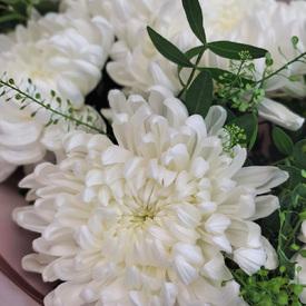 Букет из 9 белых хризантем