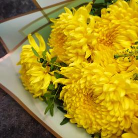 Букет из 9 желтых хризантем