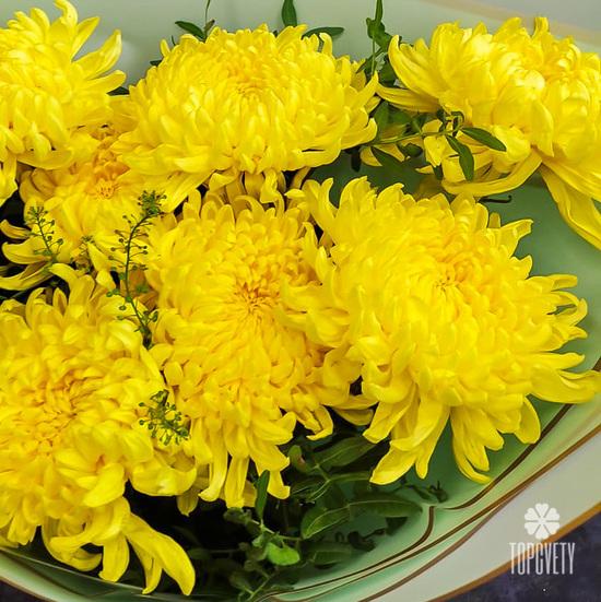 Букет из 9 желтых хризантем
