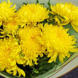 Букет из 9 желтых хризантем