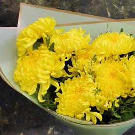 Букет из 9 желтых хризантем