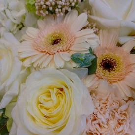 Букет из роз, гортензий и гвоздик