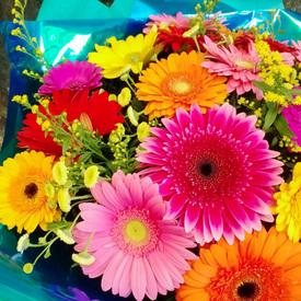 Букет из 25 гербер микс