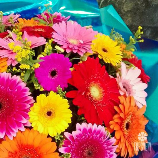 Букет из 25 гербер микс