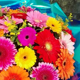 Букет из 25 гербер микс