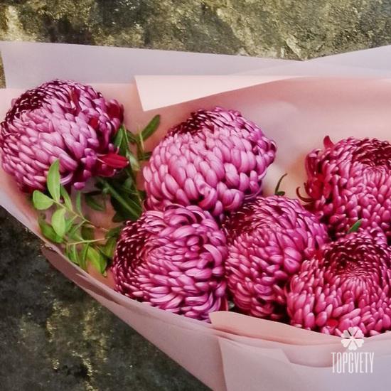 Букет из 9 сиреневых хризантем Бигуди