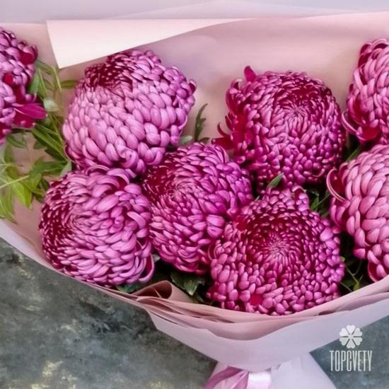 Букет из 9 сиреневых хризантем Бигуди