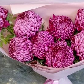 Букет из 9 сиреневых хризантем Бигуди