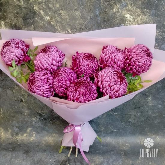 Букет из 9 сиреневых хризантем Бигуди