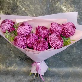 Букет из 9 сиреневых хризантем Бигуди