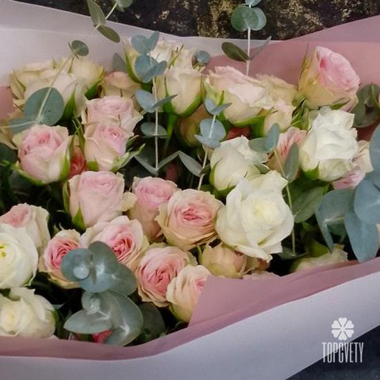 Букет из 15 кустовых  пионовидных белых и розовых роз с эвкалиптом 50см