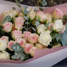 Букет из 15 кустовых  пионовидных белых и розовых роз с эвкалиптом 50см